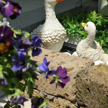 La Casa Dei Nonni Sul Garda